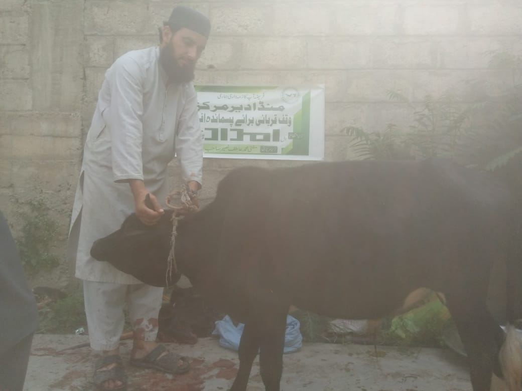 Impact Photo other-23